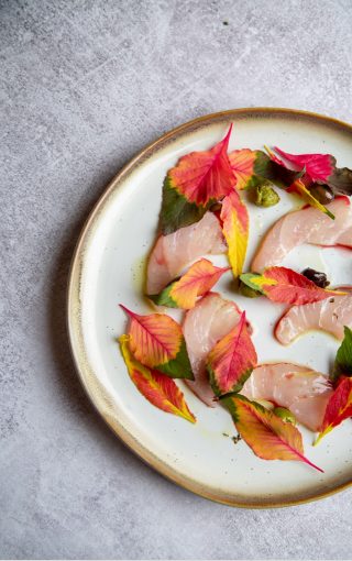 Leafy beautifully arranged colorful salad and raw fish on a white plate, taken from birds-eye view